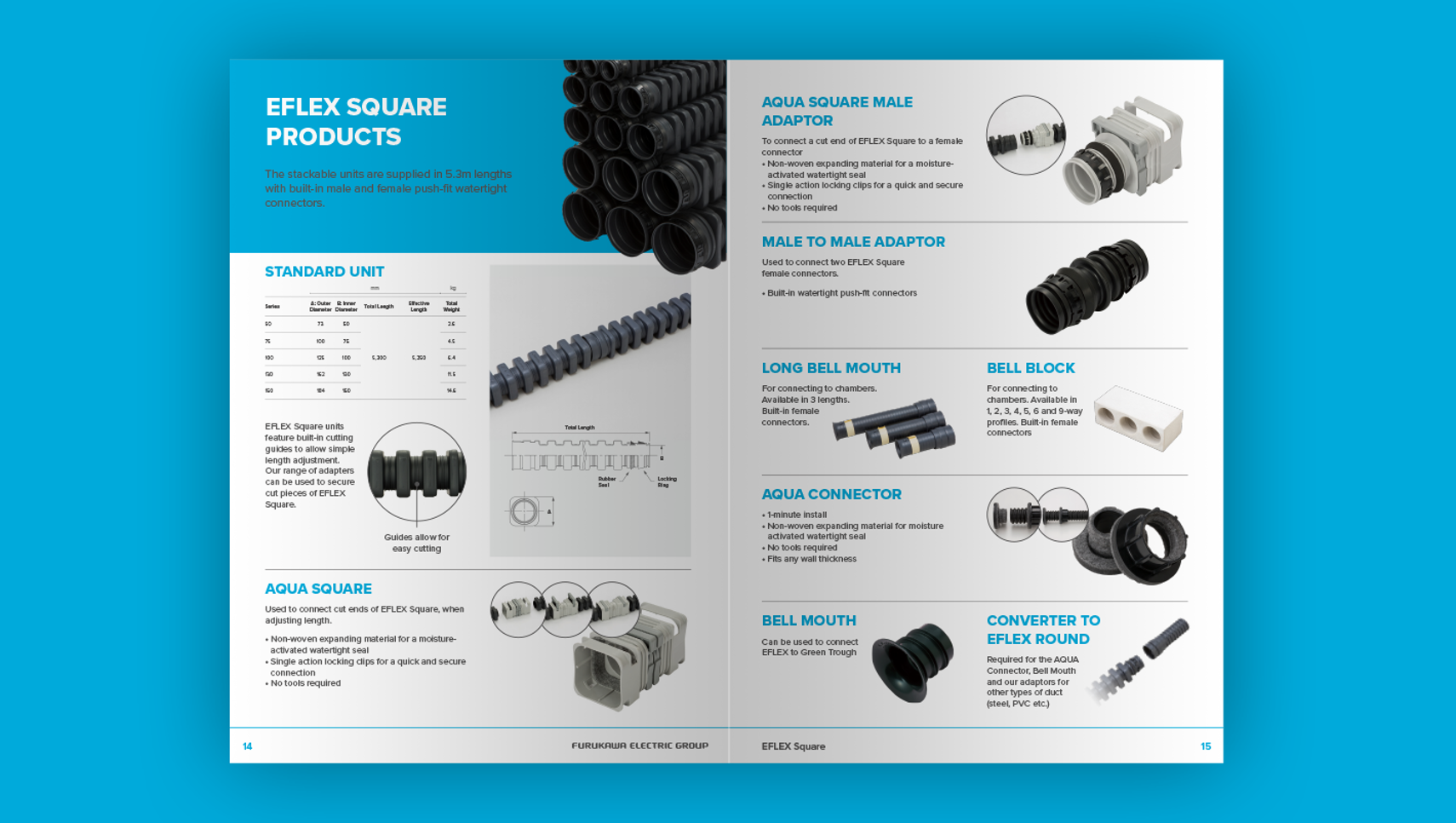 Brochure Design for Global Leader