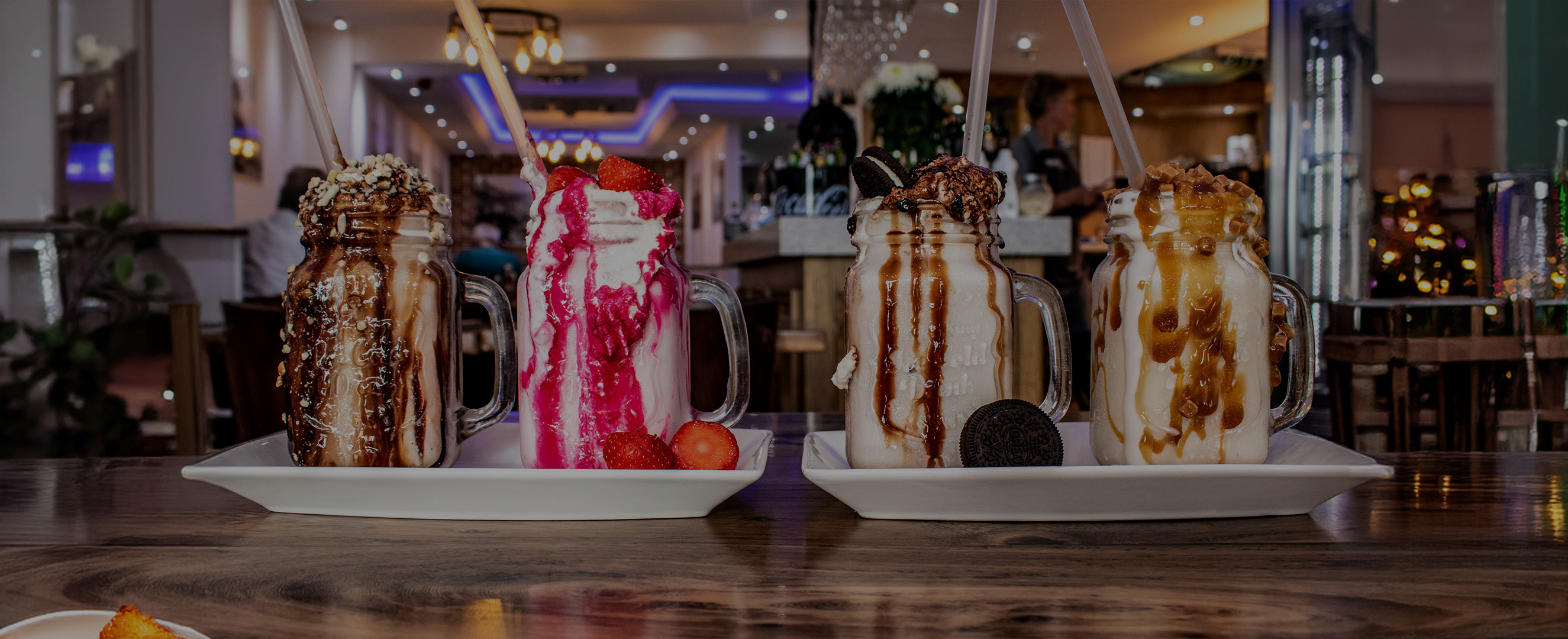 Brand Refresh and Photography for Fish Bits