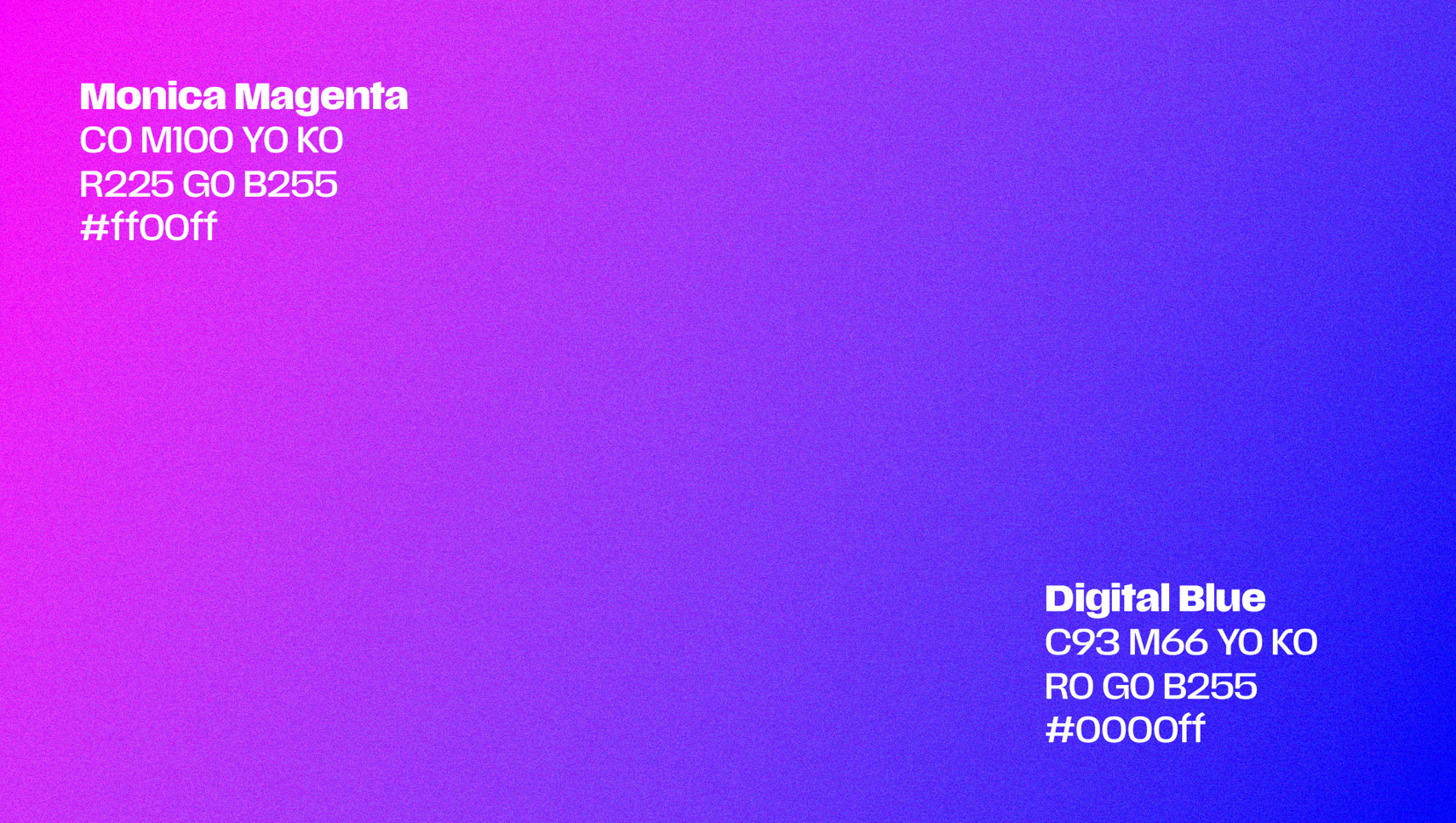 Brand Identity for Software Technology