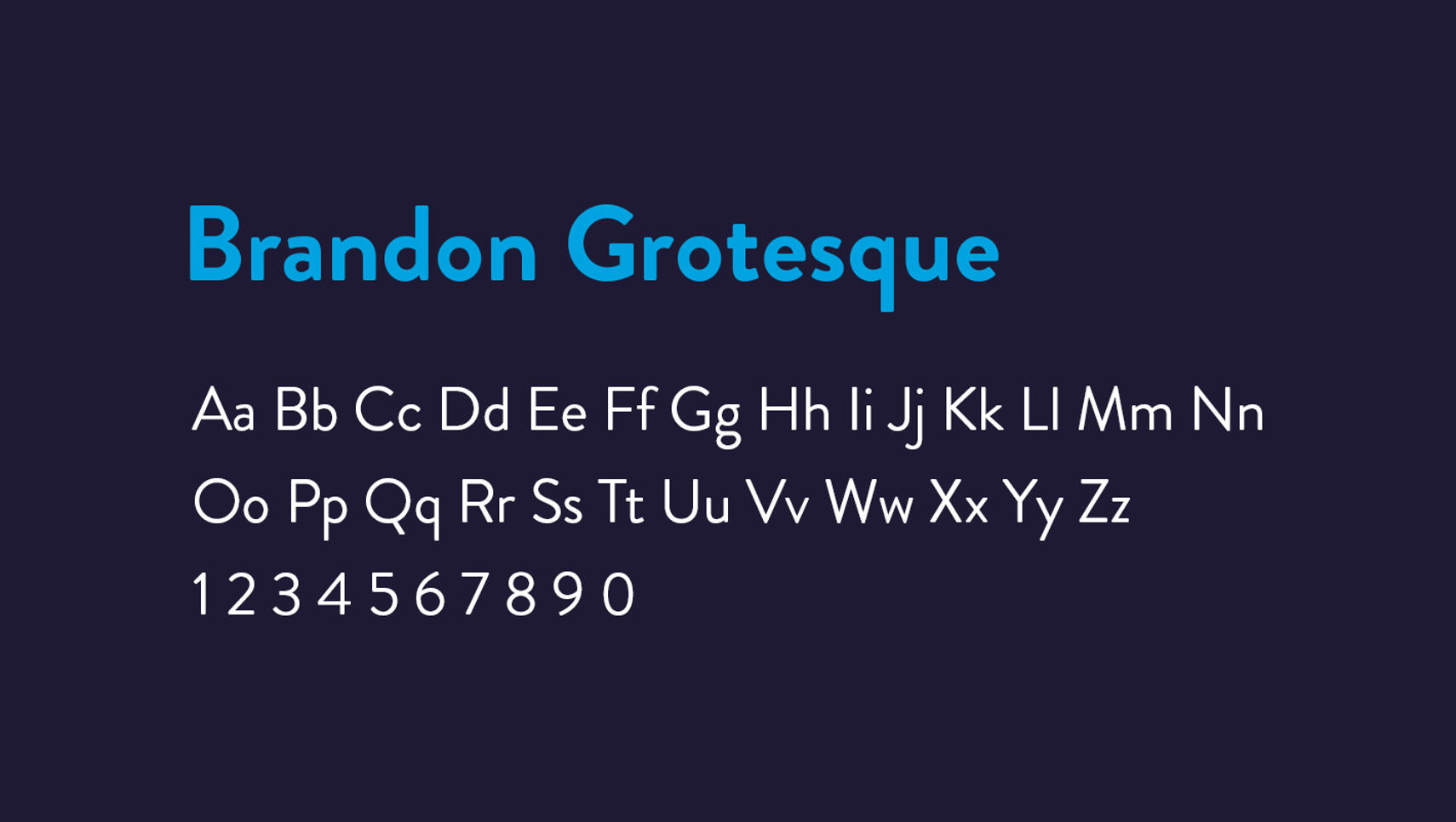 Brand Identity Typography