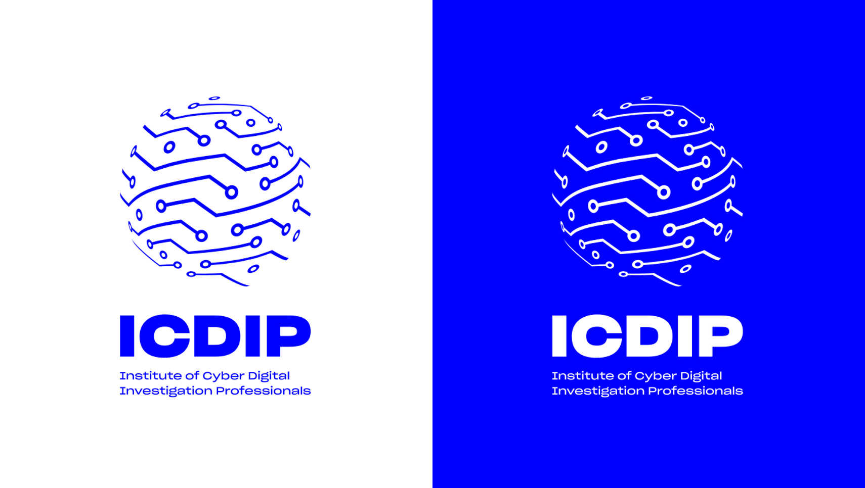 Cyber Security Logo Design