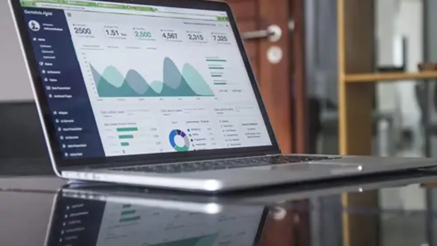 Website Audit