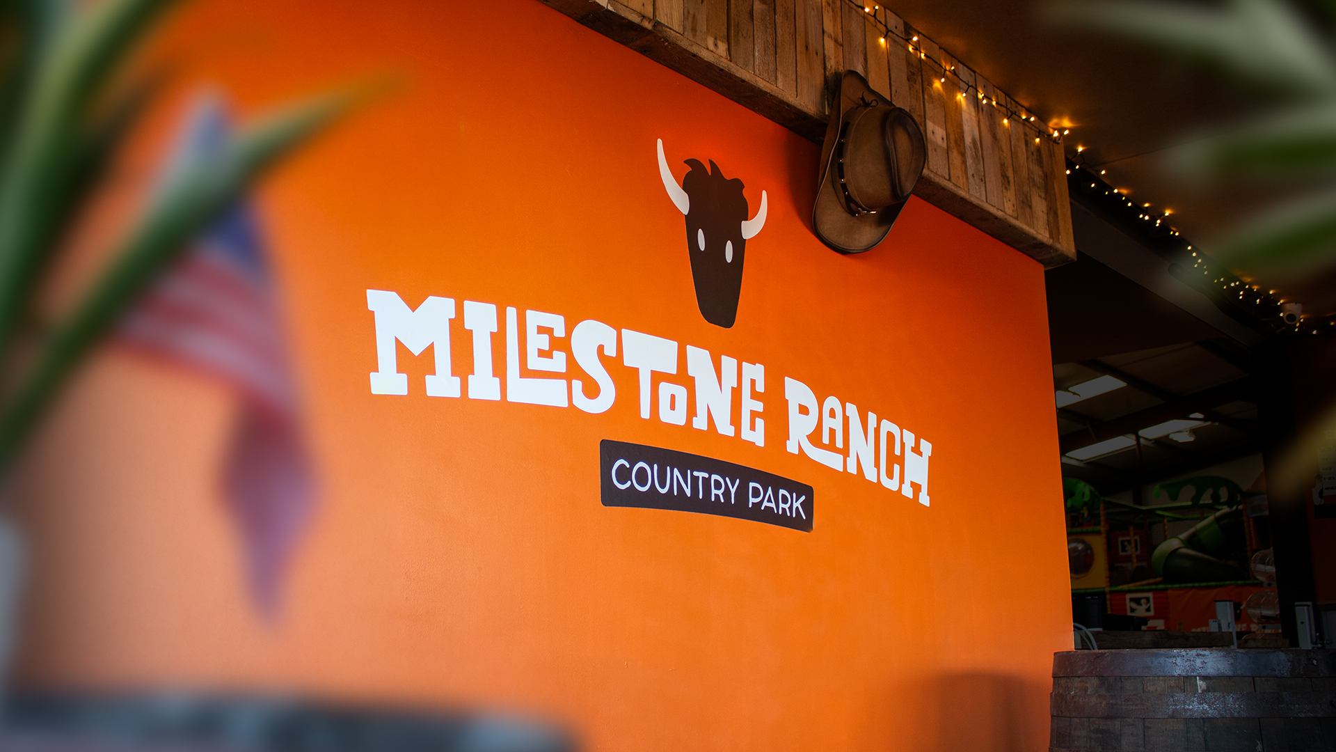 A New Brand Direction for Country Park