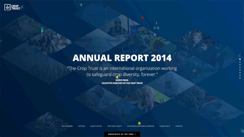 Animation on Website Example