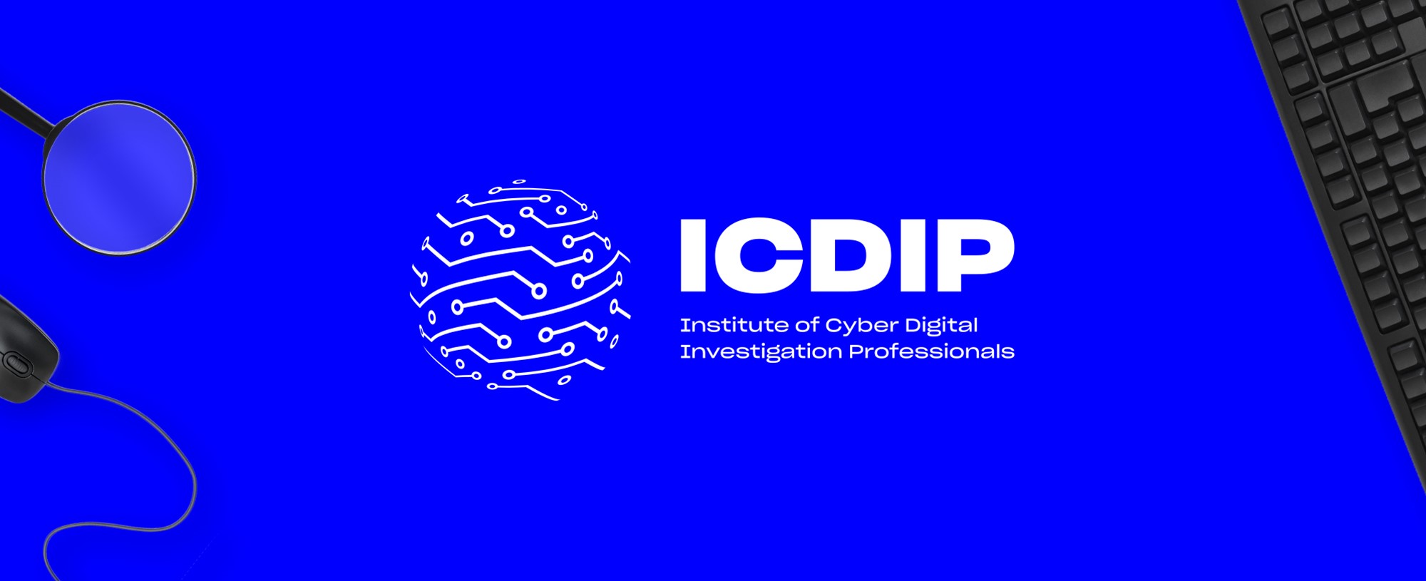 ICDIP Branding