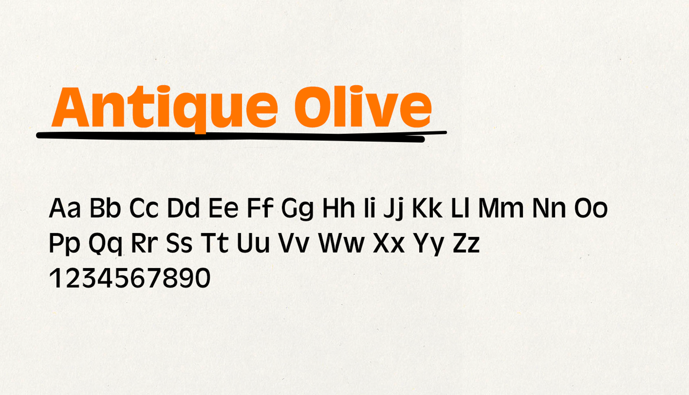 CHARACTERFUL TYPEFACE TO REFLECT THE BRAND
